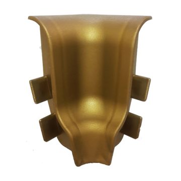 Altın Yaldız Süpürge Köşeliği